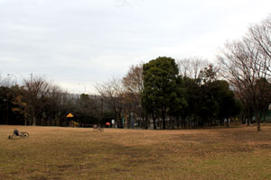 荏田猿田公園