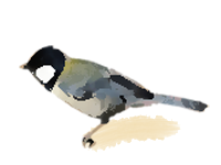 しじゅうから